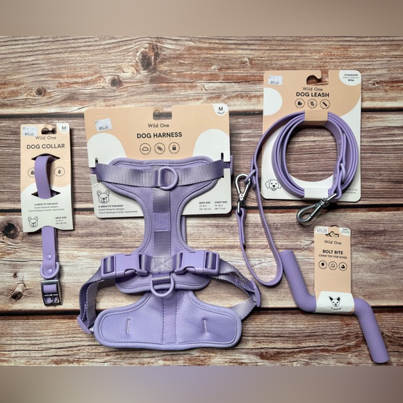 M- Wild One Dog Collar, Leash, Harness and Bolt Bite NWT (Lilac) - Picture 1 of 2